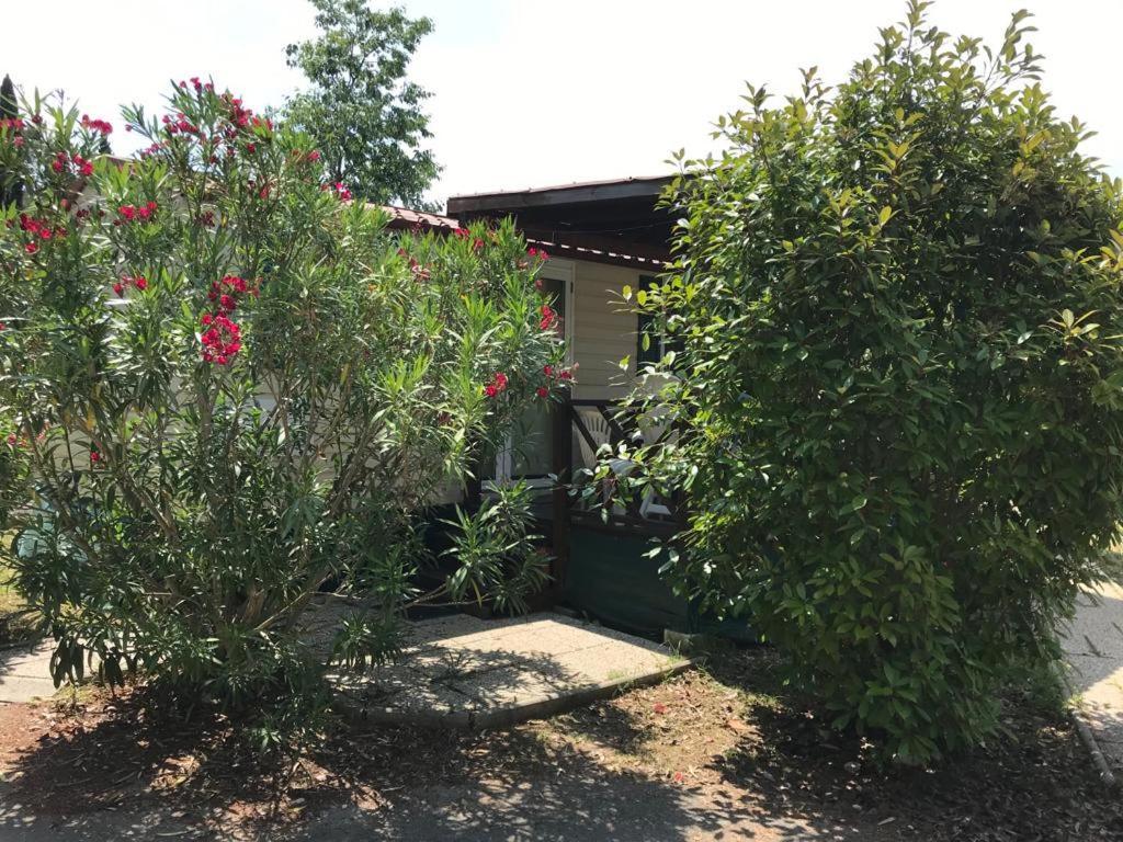Media Mobile Homes In Brioni Sunny Park za odmor