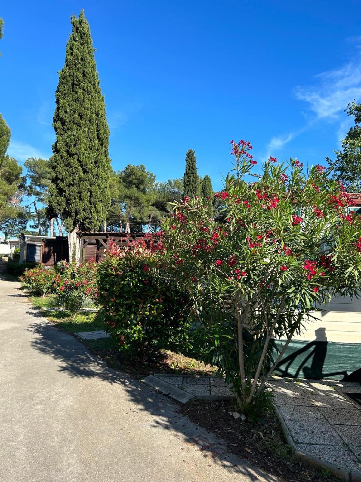 Media Mobile Homes In Brioni Sunny Park za odmor