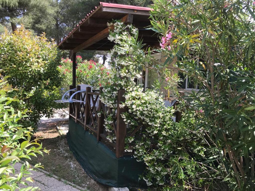 Prázdninový areál Media Mobile Homes In Brioni Sunny