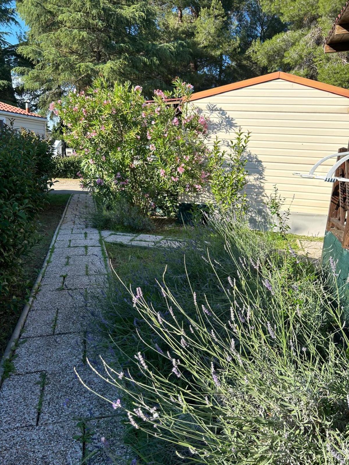Media Mobile Homes In Brioni Sunny Prázdninový areál 2*